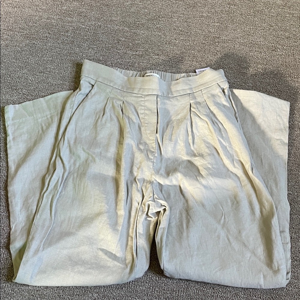 Aritzia Pleated Pants